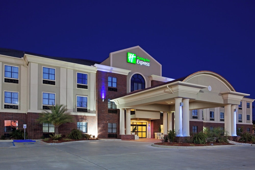 Holiday Inn Express Hotel Suites Vidor South 65/71