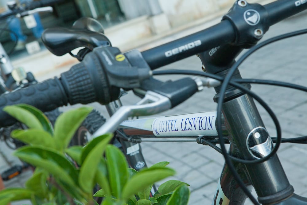 Lesvion 40/65