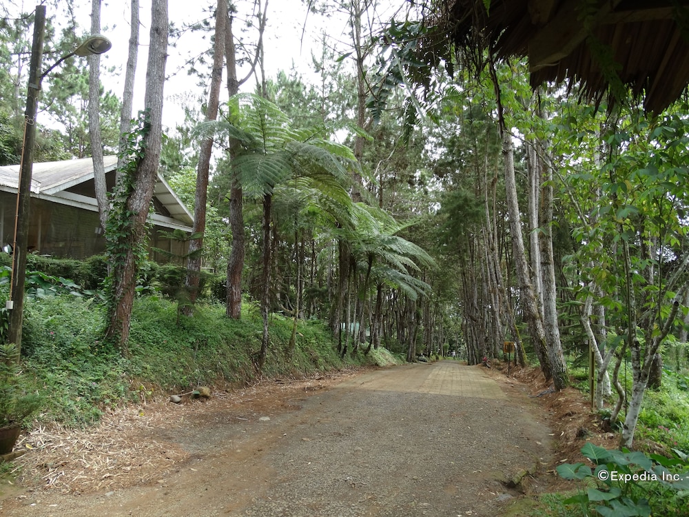 Eden Nature Park And Resort 45/55