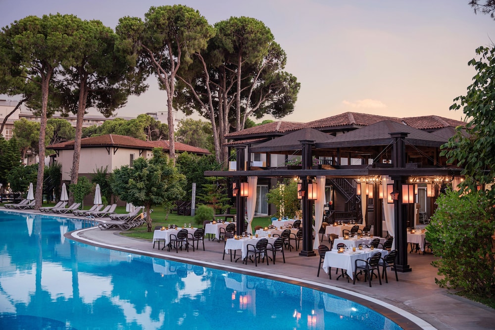 Papillon Ayscha in BELEK