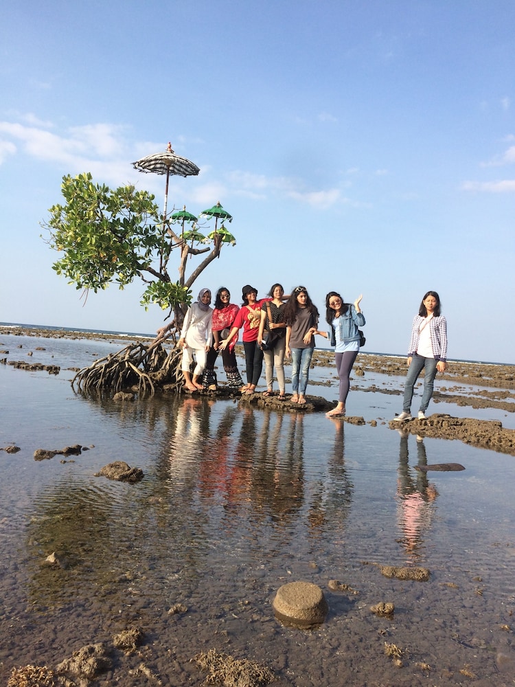 Biorock Homestay 42/49
