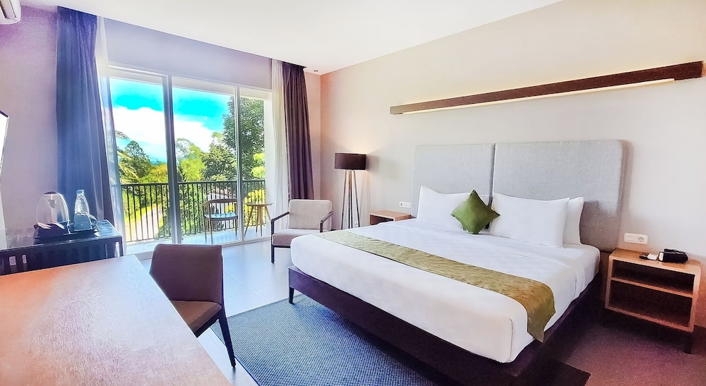 The Balcone Hotel and Resort 12/54