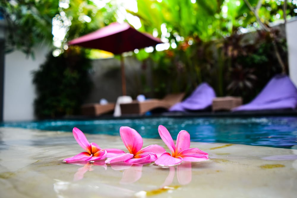 Hola Seminyak 41/50