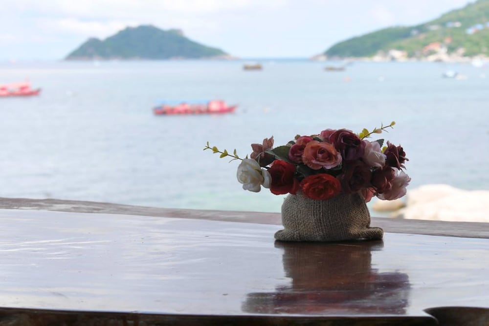 DD Hut Koh Tao 33/50