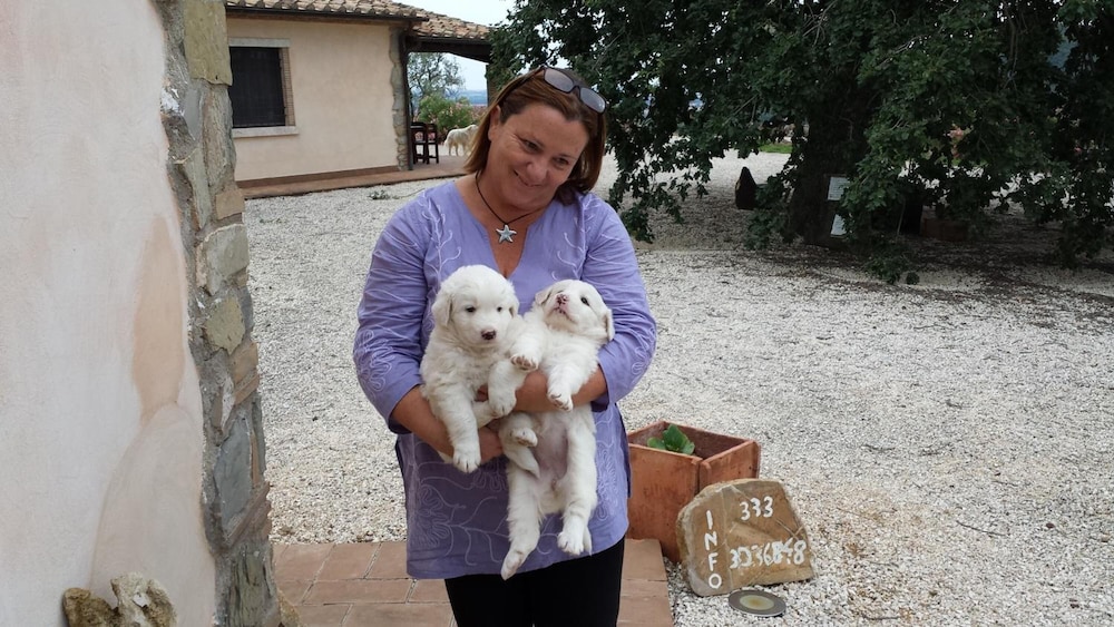 Poggio Al Vento 32/40
