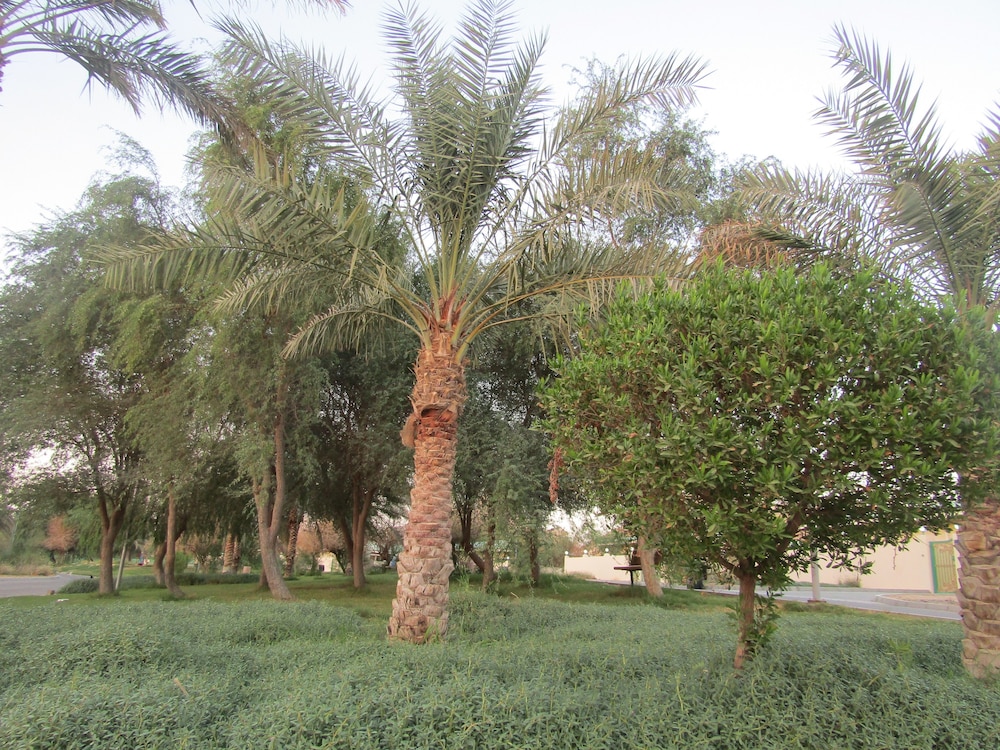 Green Mubazzarah Chalets 32/45