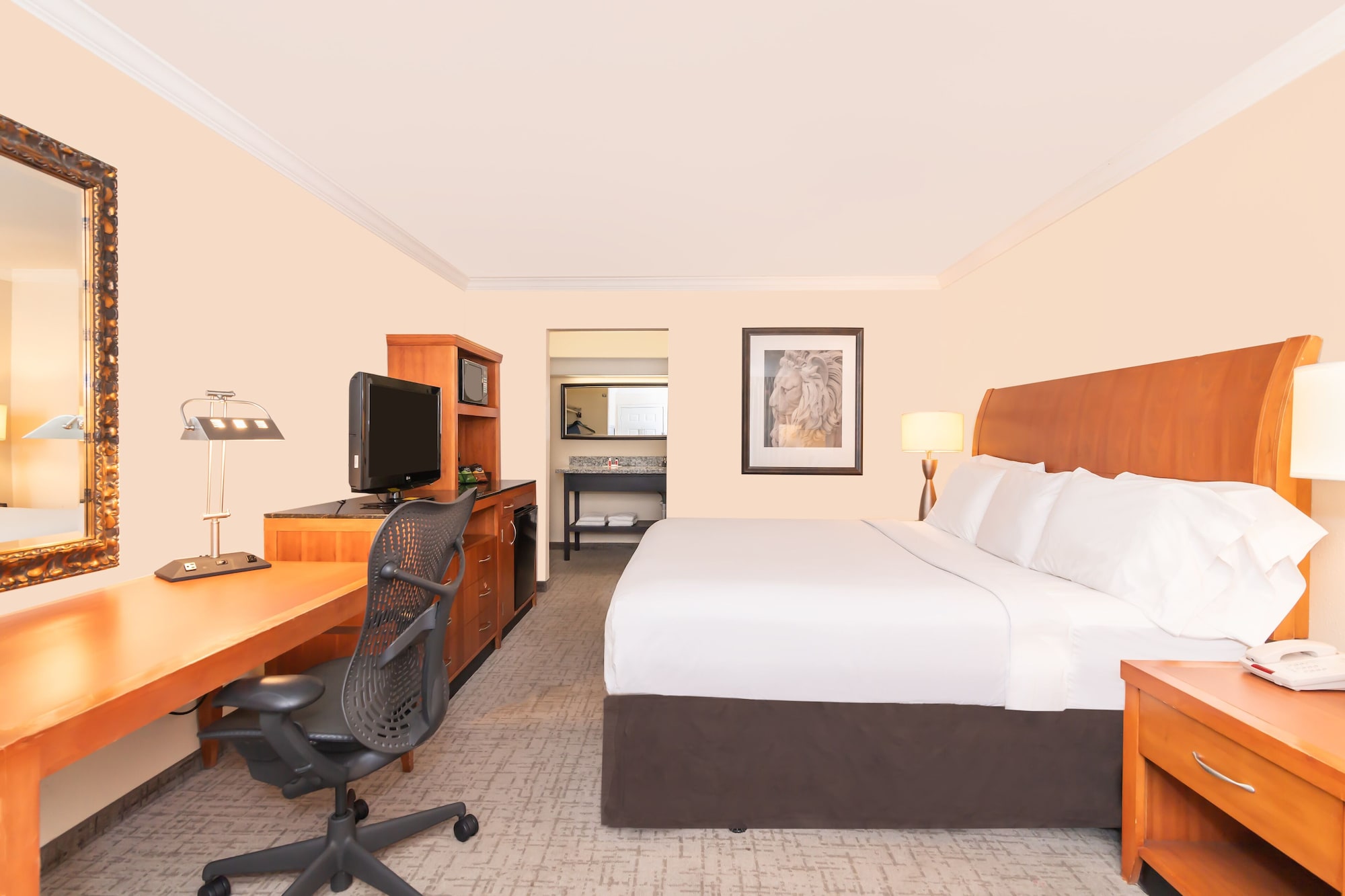 Room, King Bed