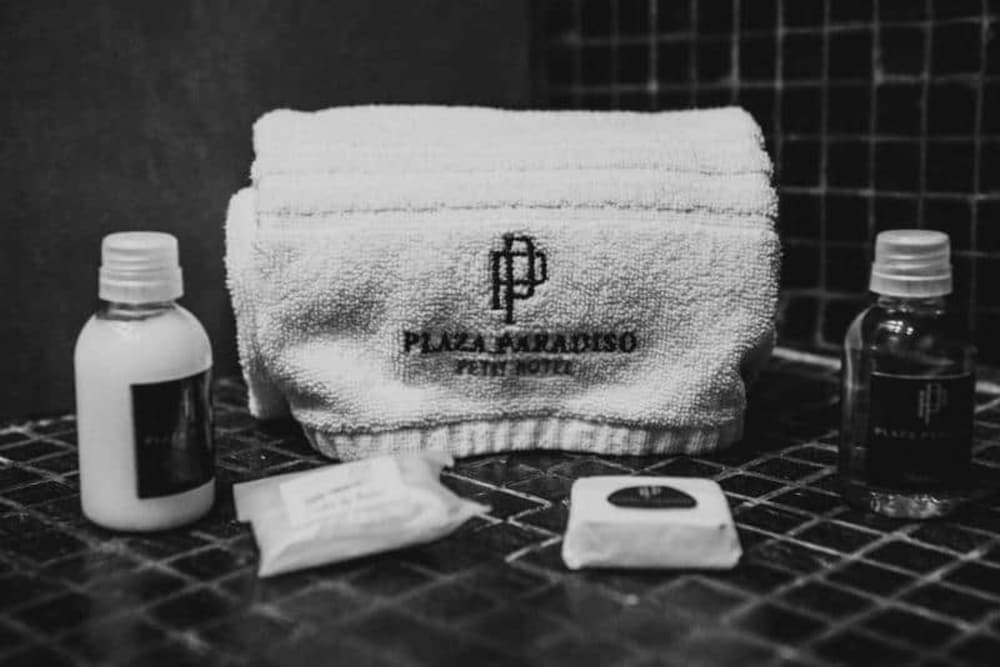 Plaza Paradiso Petit Hotel 25/62