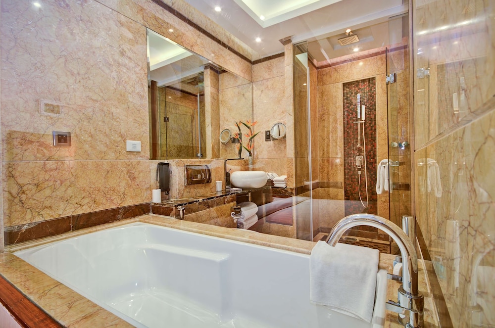 Radisson Blu Hotel Kaushambi Delhi Ncr 16/68