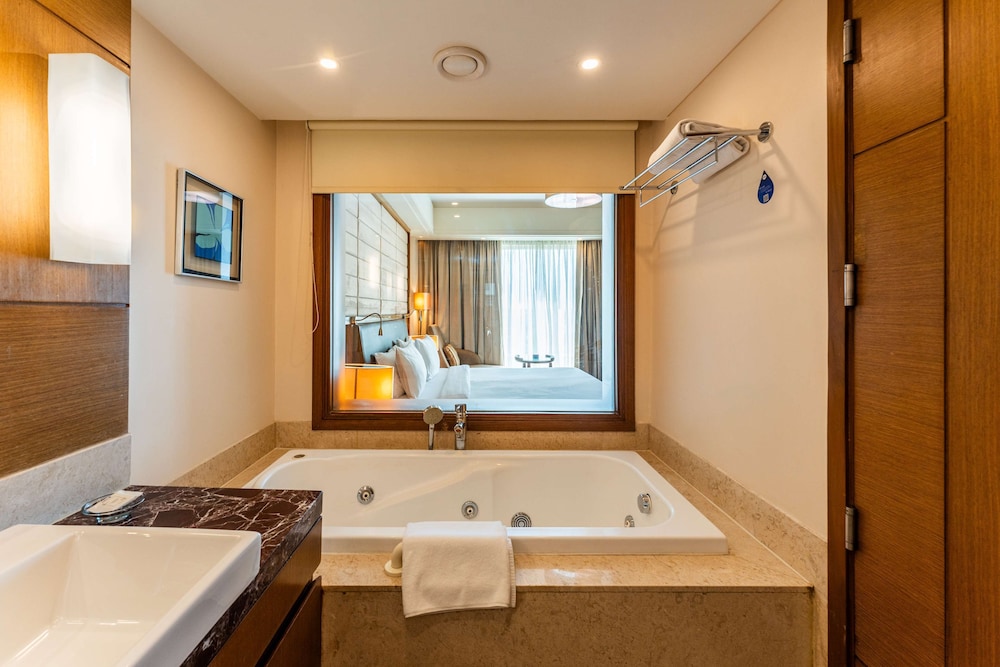Radisson Blu Hotel Indore 50/50
