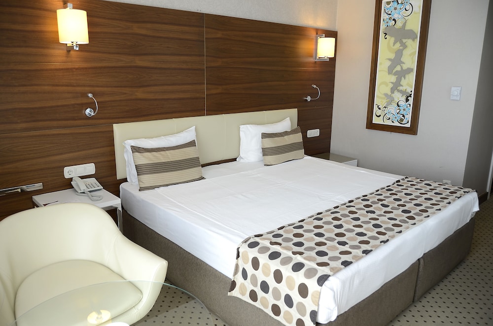 Alba Ankara Hotel 7/29