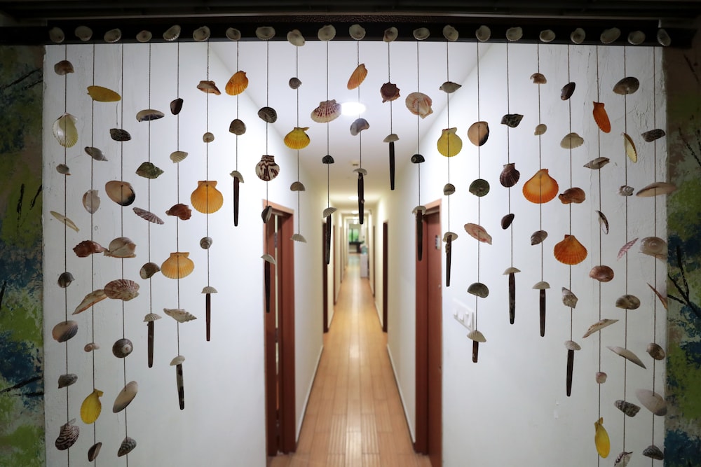 Rain Forest Hotel 6/51