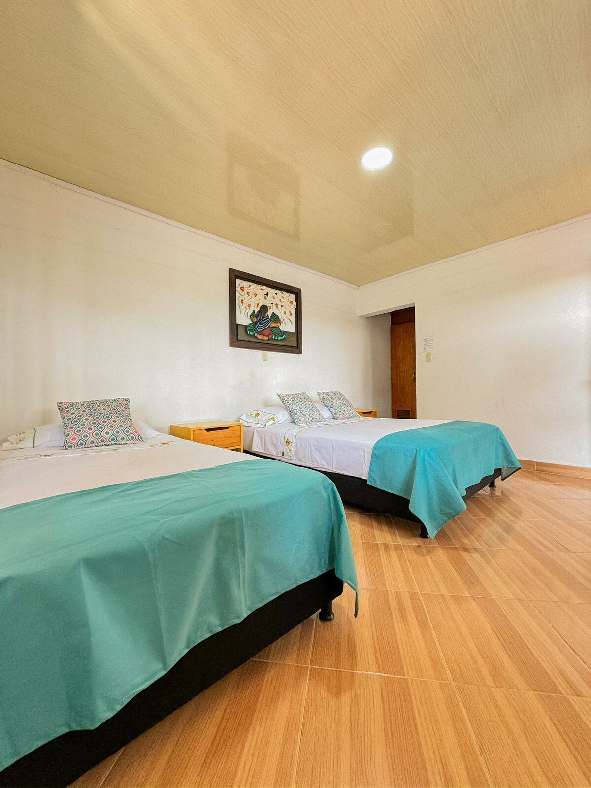 Basic, Triple, 1 Double and 1 Single Bed