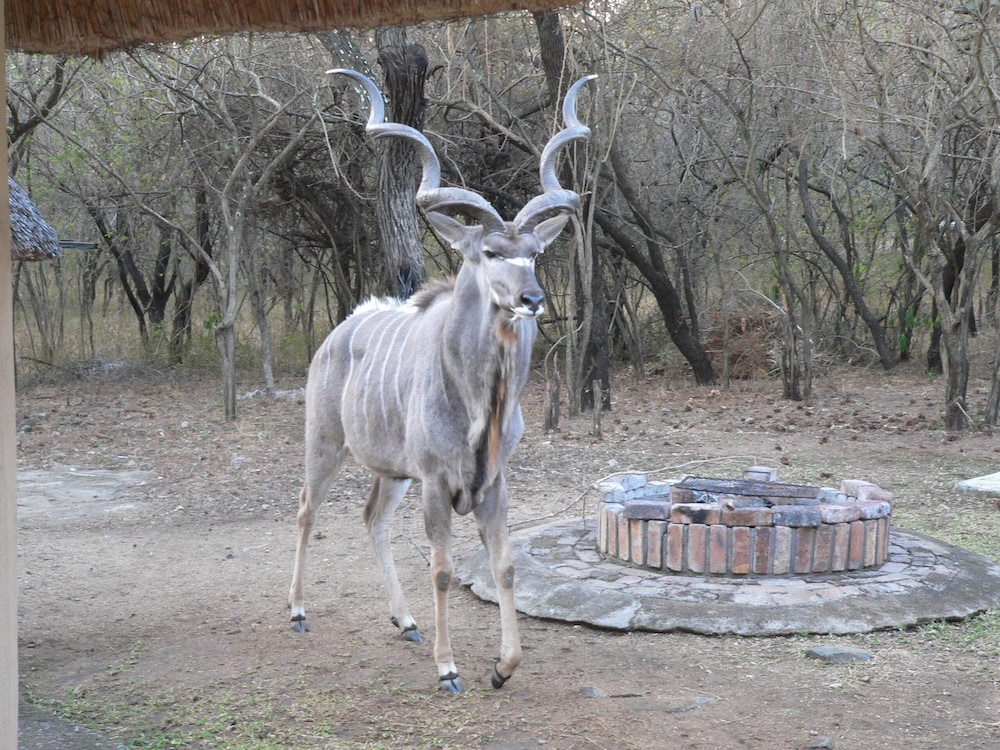 Kruger Cottage 26/36