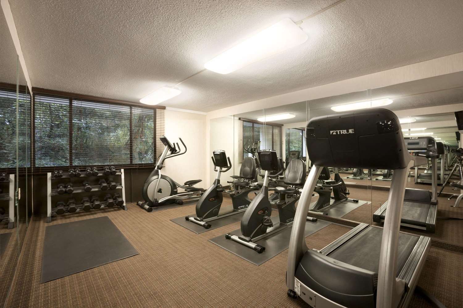 Wyndham Garden Washington DC Area 12/32