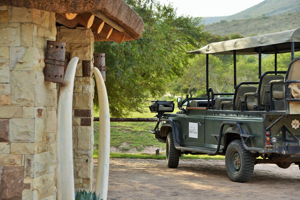 Garden Route Safari Camp 31/50