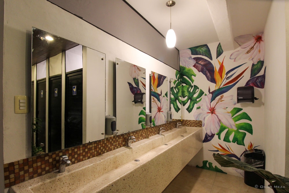 Gayser Hostal 24/25