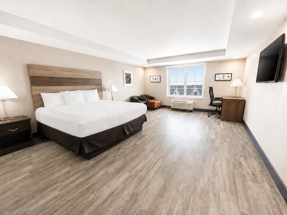 Suite, King Bed