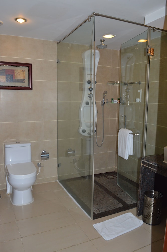 Fortune Jp Palace - Member Itc Hotel Group 10/36