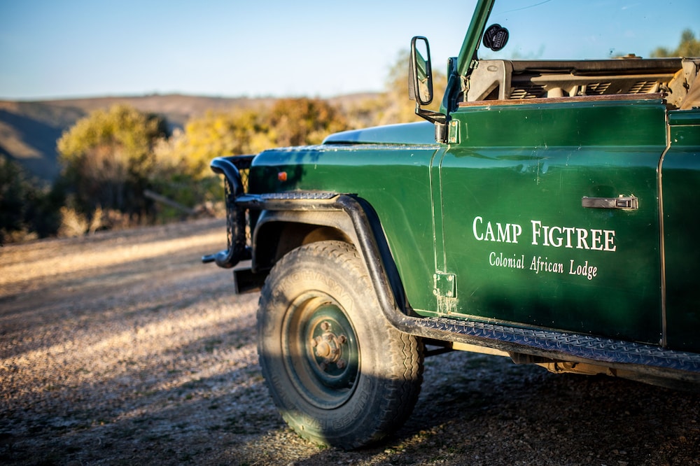 Camp Figtree 21/40