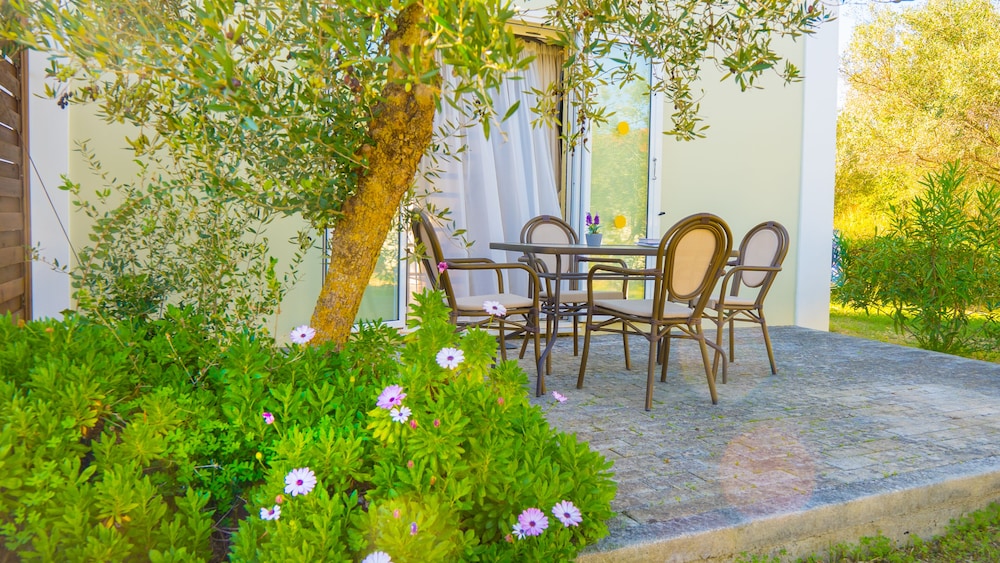 Olive Trees Garden 25/27