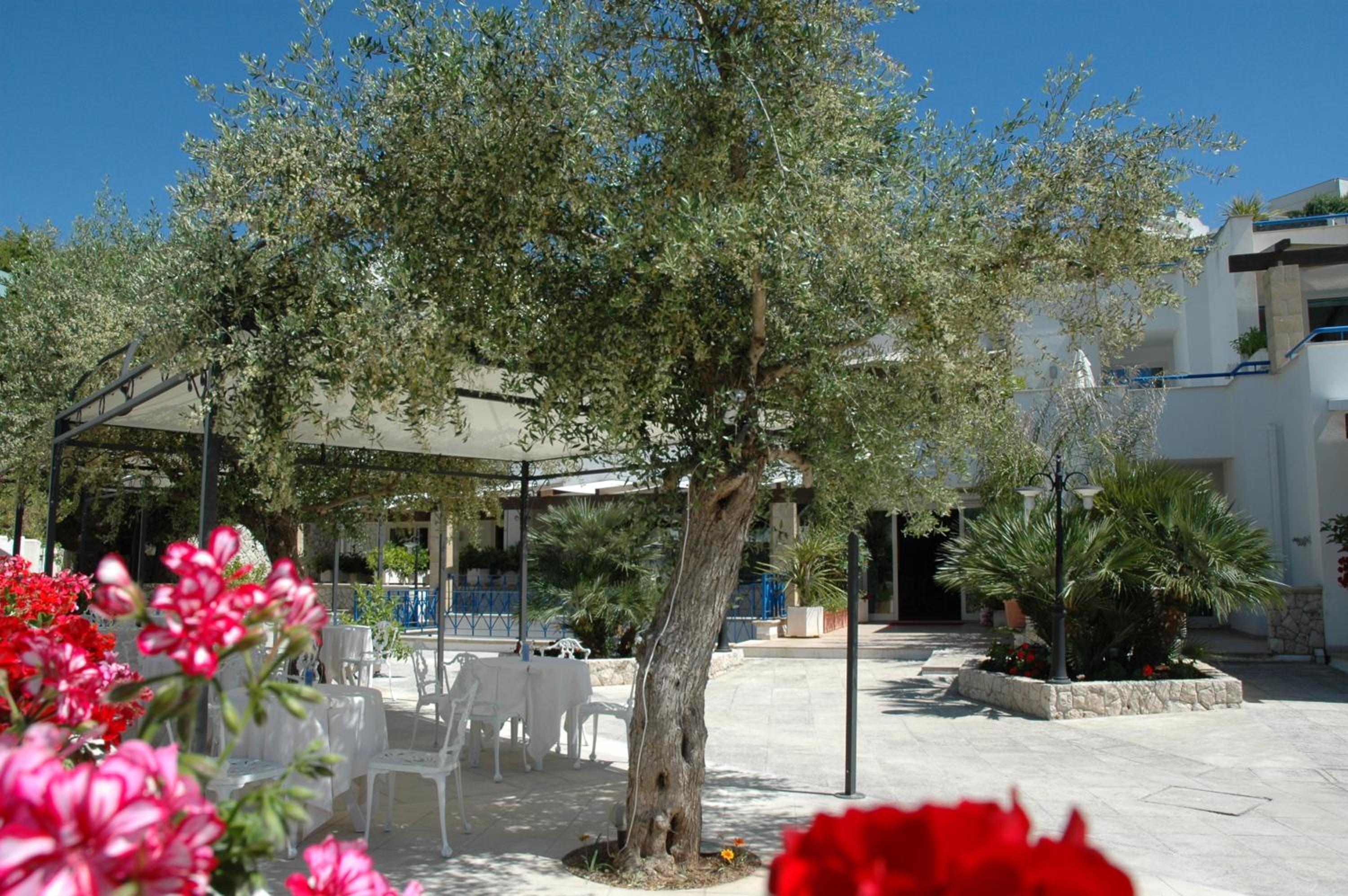 Hotel Selenia 26/33