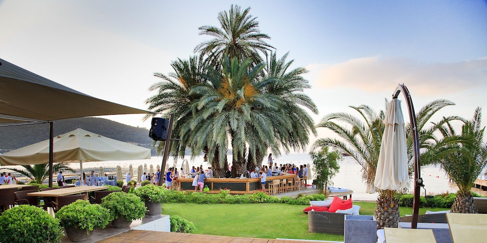 Casa dell Arte Hotel of Arts and Leisure 49/55