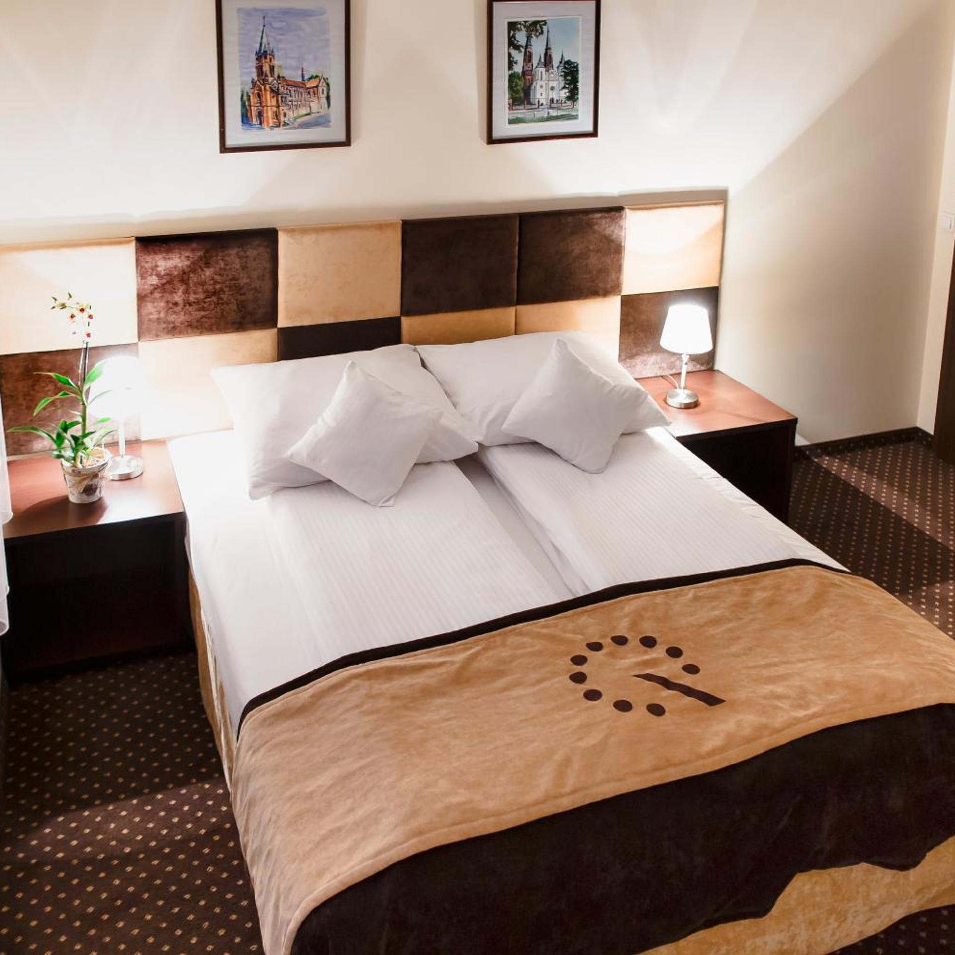 شقة بغرفة نوم واحدة، Boutique Hotel’s Bytom 4/10