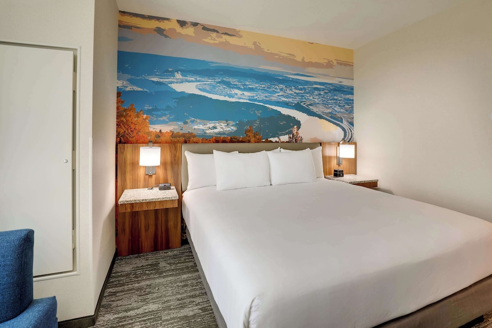Drury Plaza Hotel Chattanooga Hamilton Place 17/50