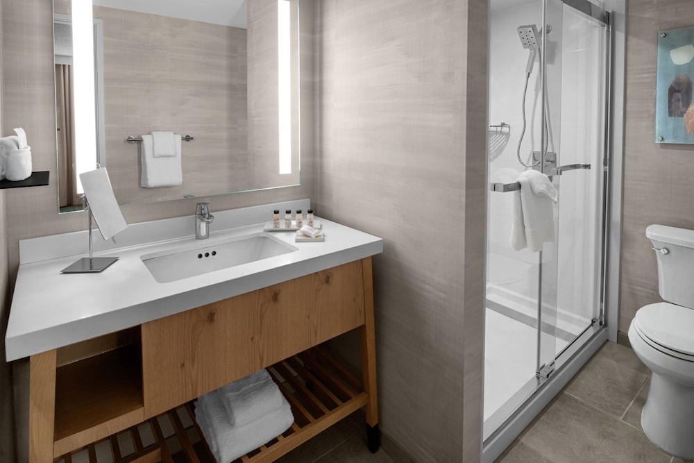 Delta Hotels Santa Clara Silicon Valley (ex Biltmore Hotel and Suites) 5/27