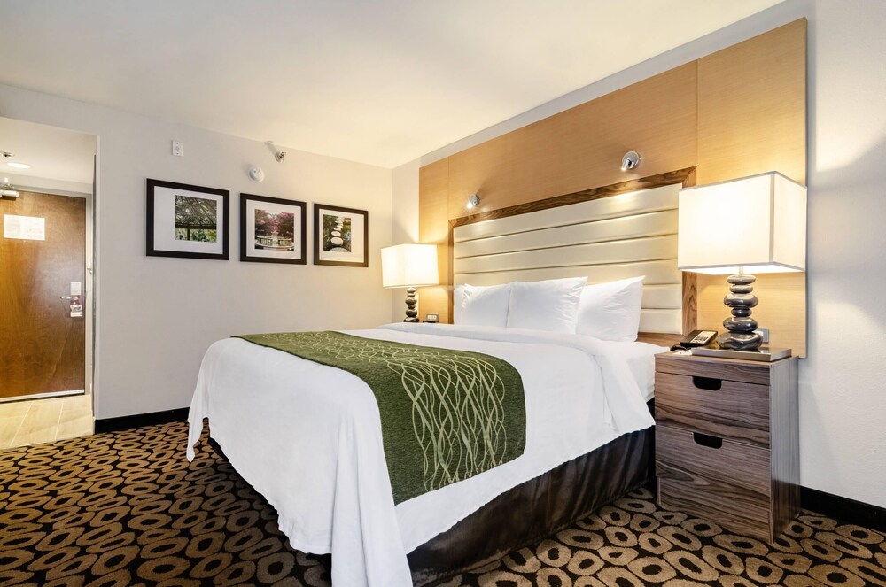 Upgrade, King Bed, Bathtub