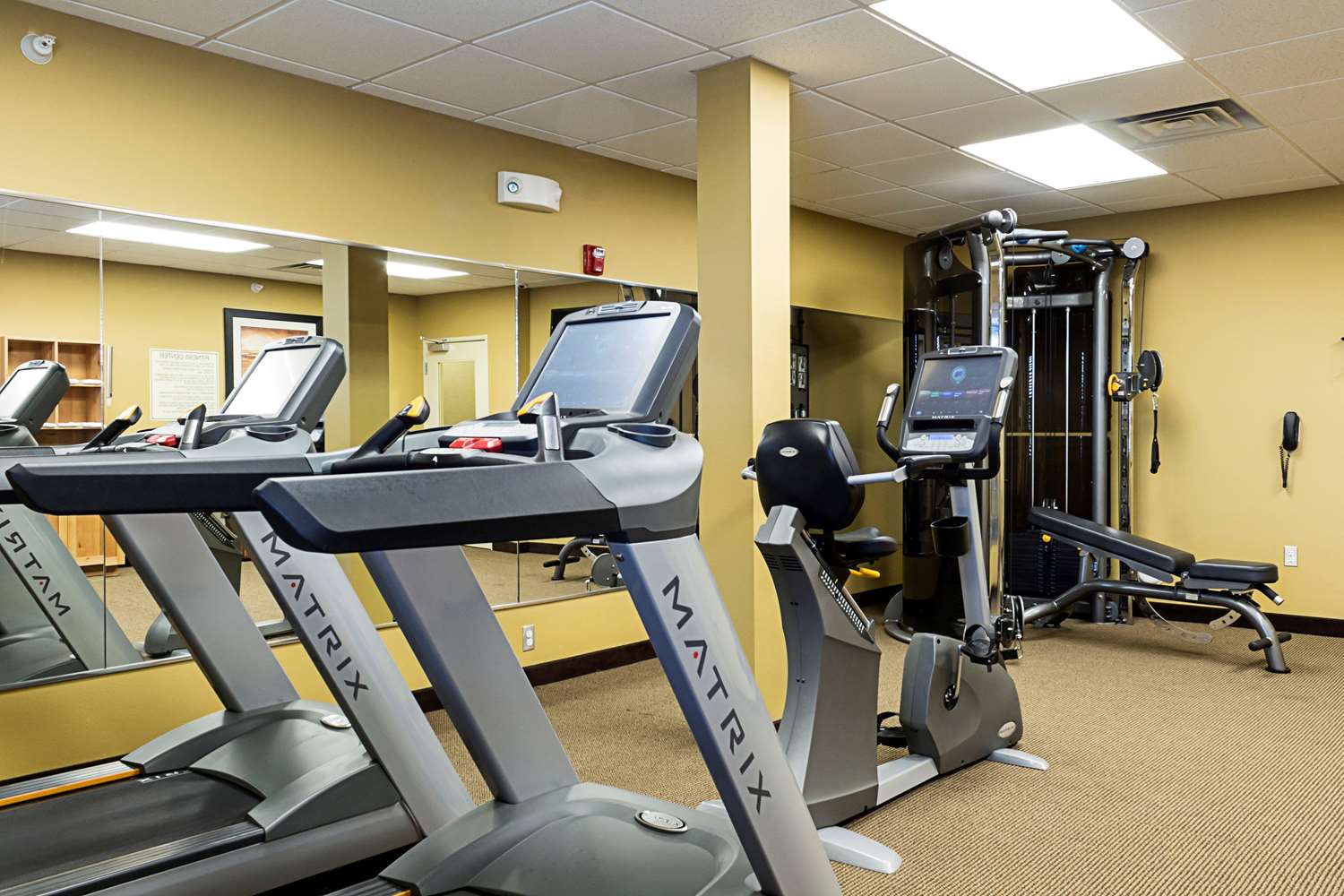 MainStay Suites Williston ND 33/58