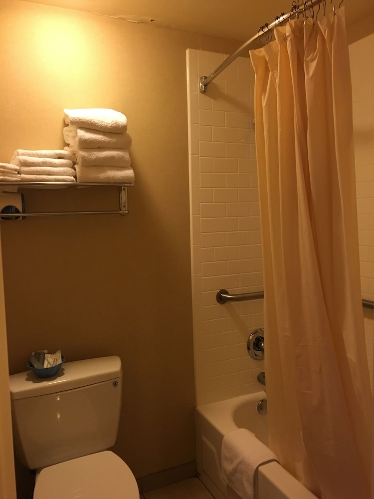 Royal Pacific Motor Inn 26/59