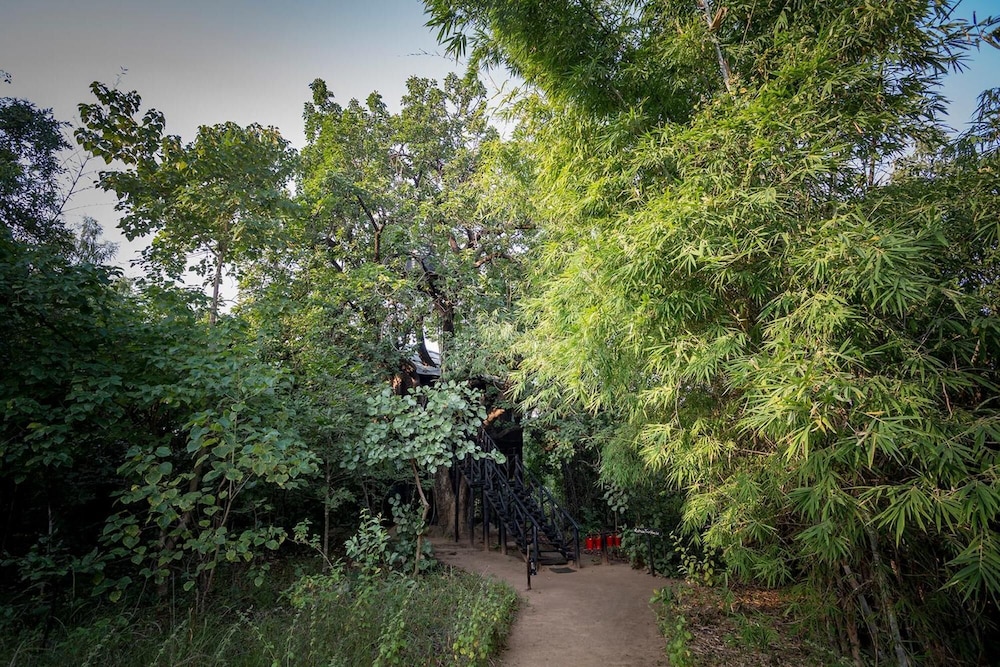 TREE HOUSE HIDEAWAY 46/50