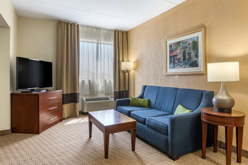 Comfort Inn Warren - Detroit North 15/28