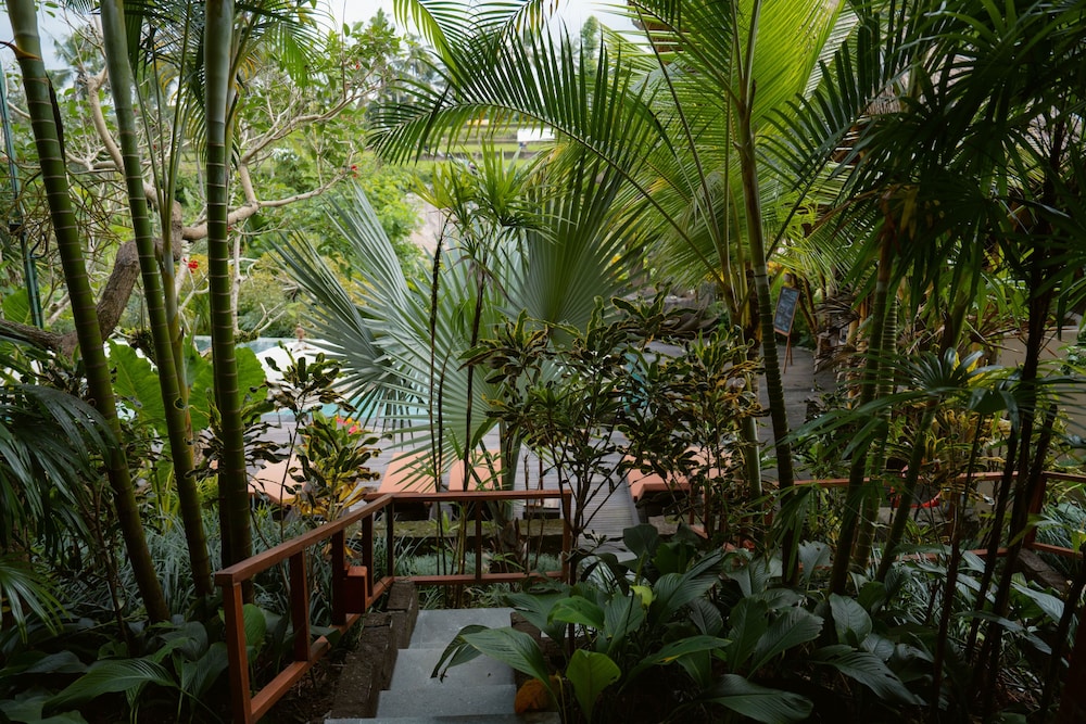 The Sun of Granary Resort and Villas 71/73