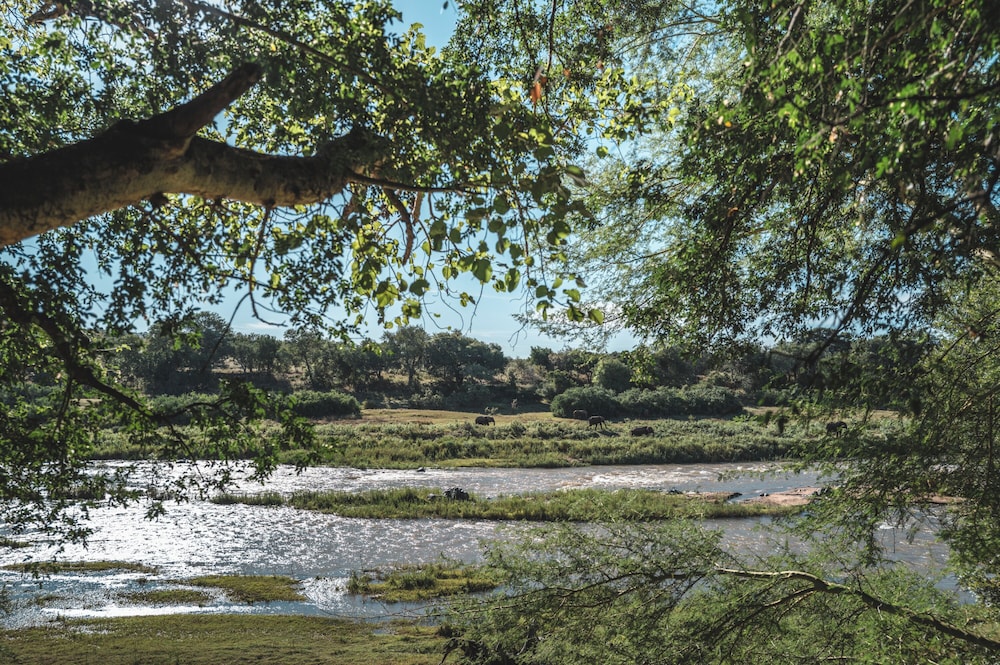 Pondoro Game Lodge 56/66