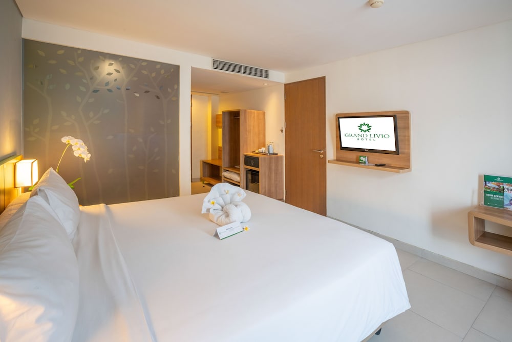 Grand Livio 22/61