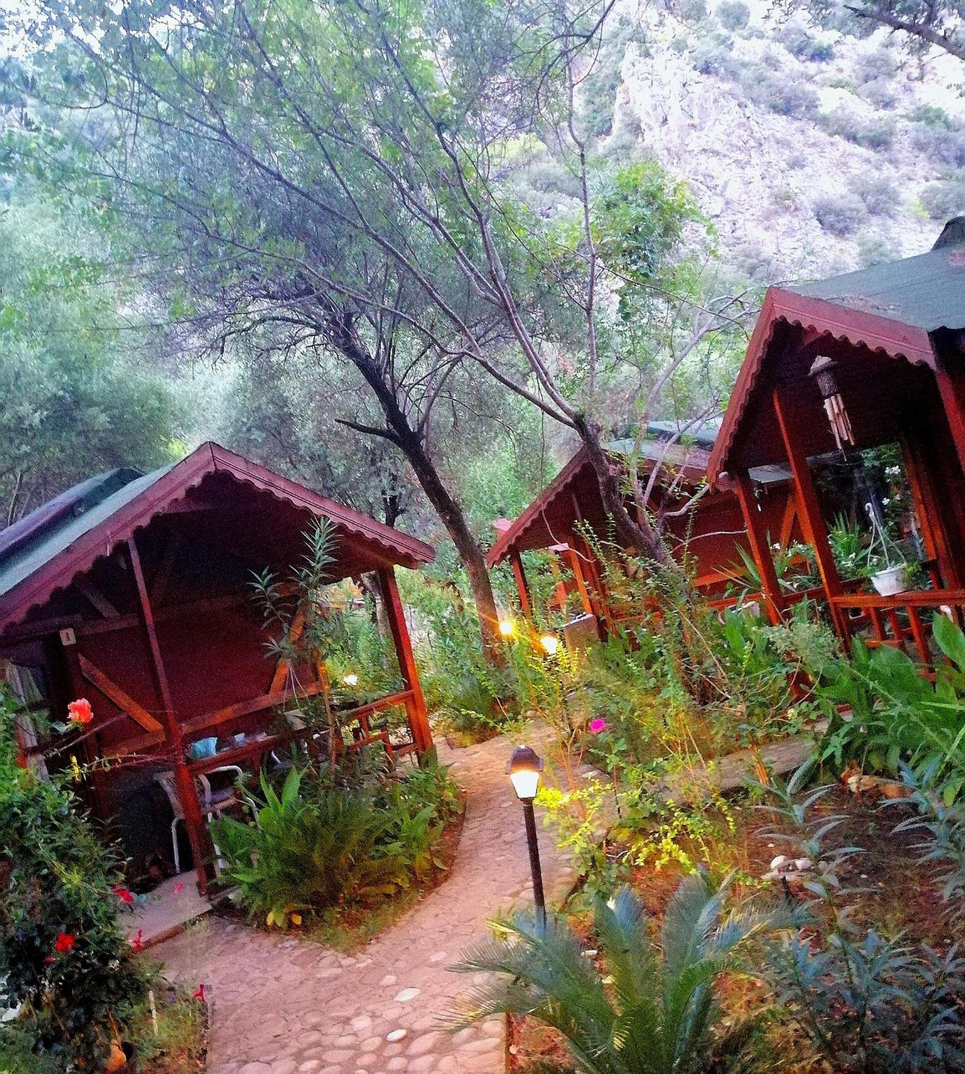 Canario Pension Bungalow 16/50