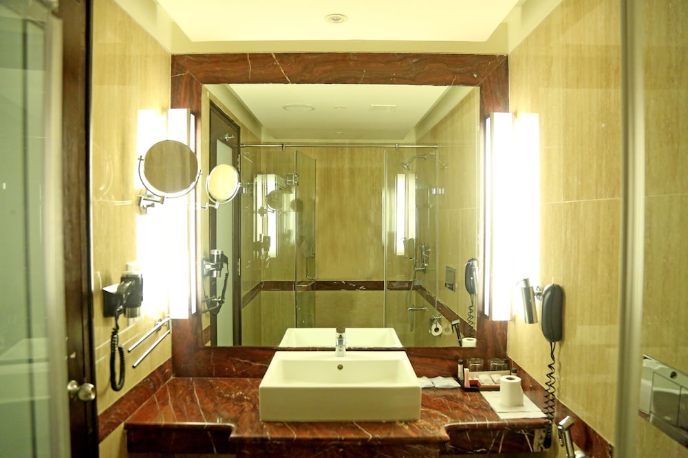 Anandha Inn Pondicherry 16/48