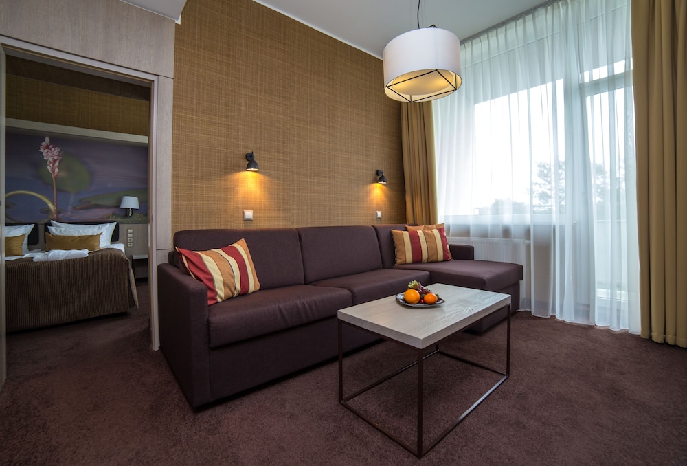 Spa Vilnius Sana Druskininkai 30/50