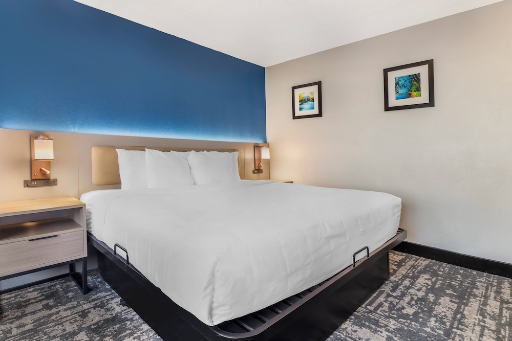 SUITE, KING BED
