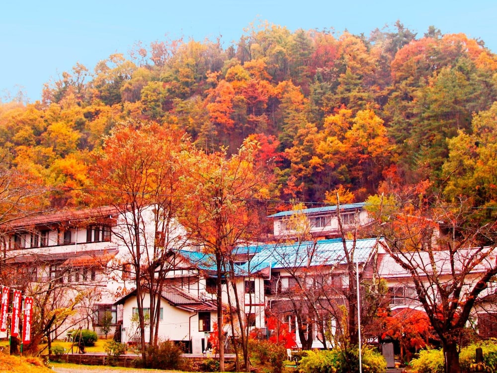 Nakaoyama Onsen Shosenkaku 47/50