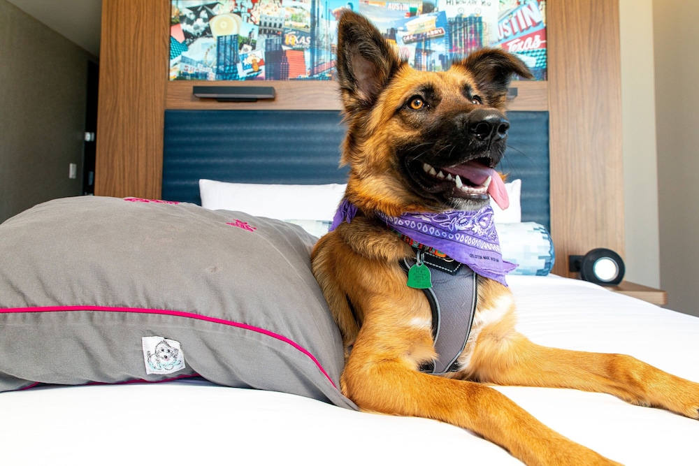 Aloft Austin Downtown 16/58