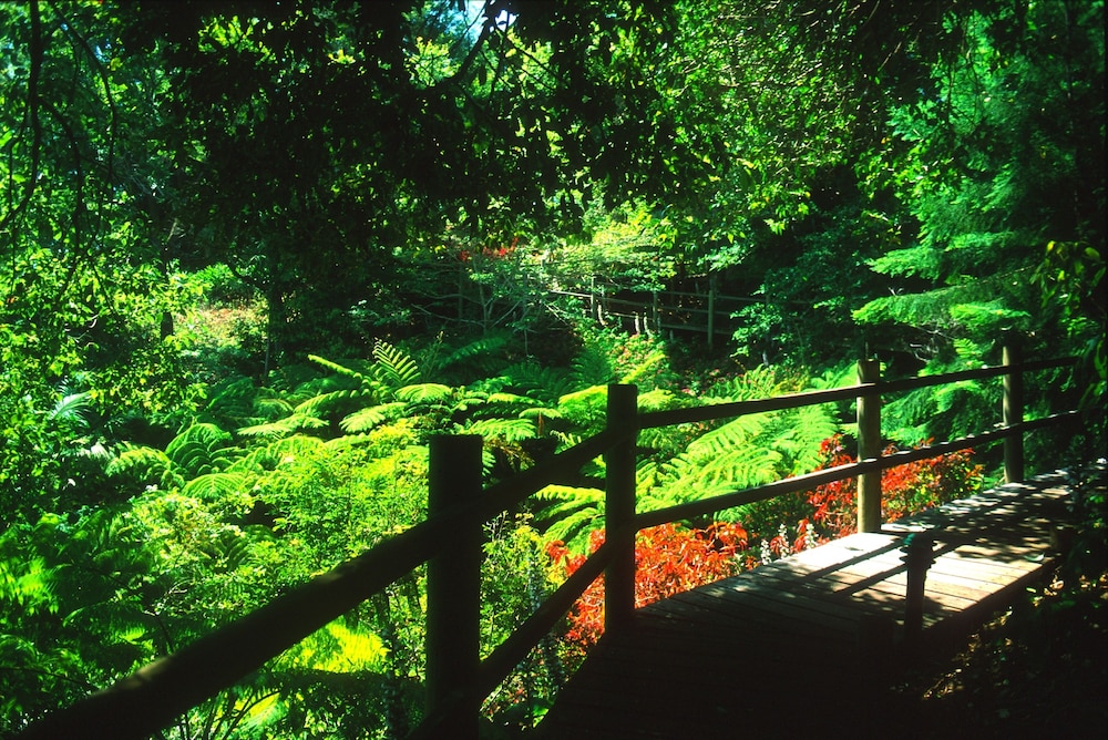 The Falls Rainforest Cottages 24/30
