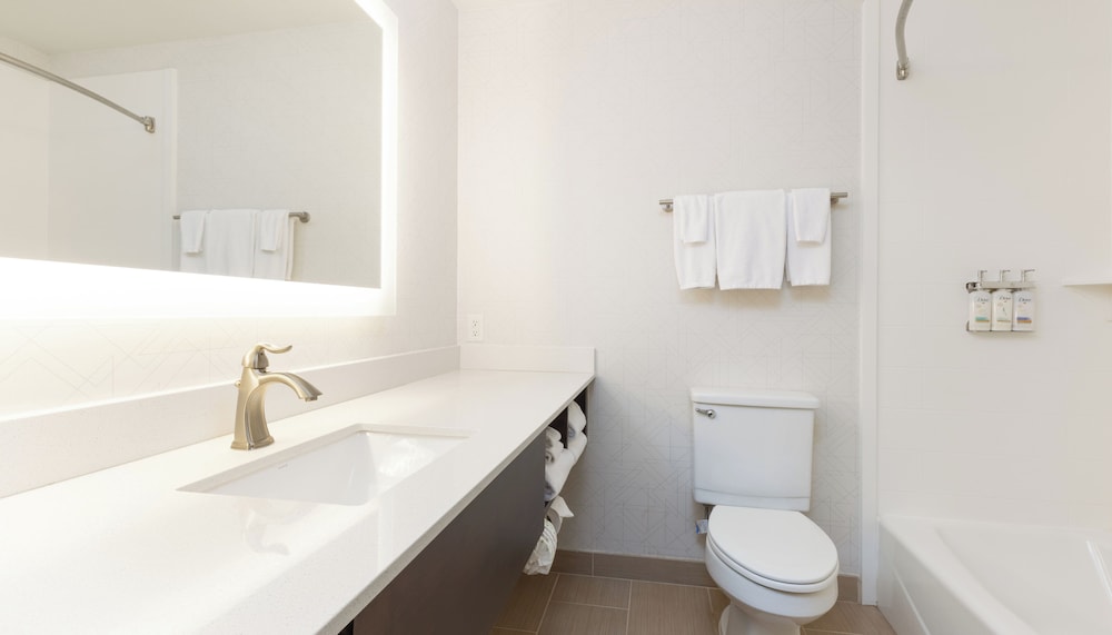 Holiday Inn Express Hotel And Suites Pleasant Prairie Kenosha 38/41