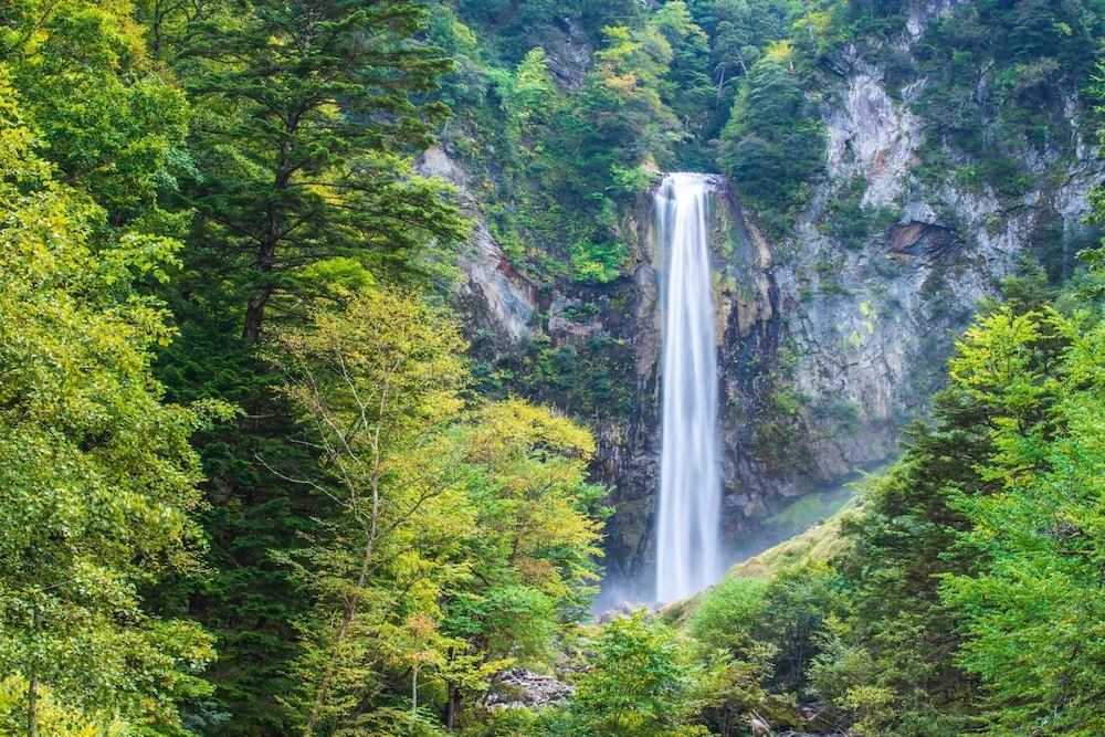 Izumigo Takayama Dog Paradise Hotel 63/67
