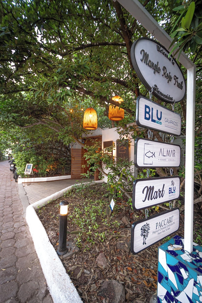 Red Mangrove Aventura Lodge 5/77