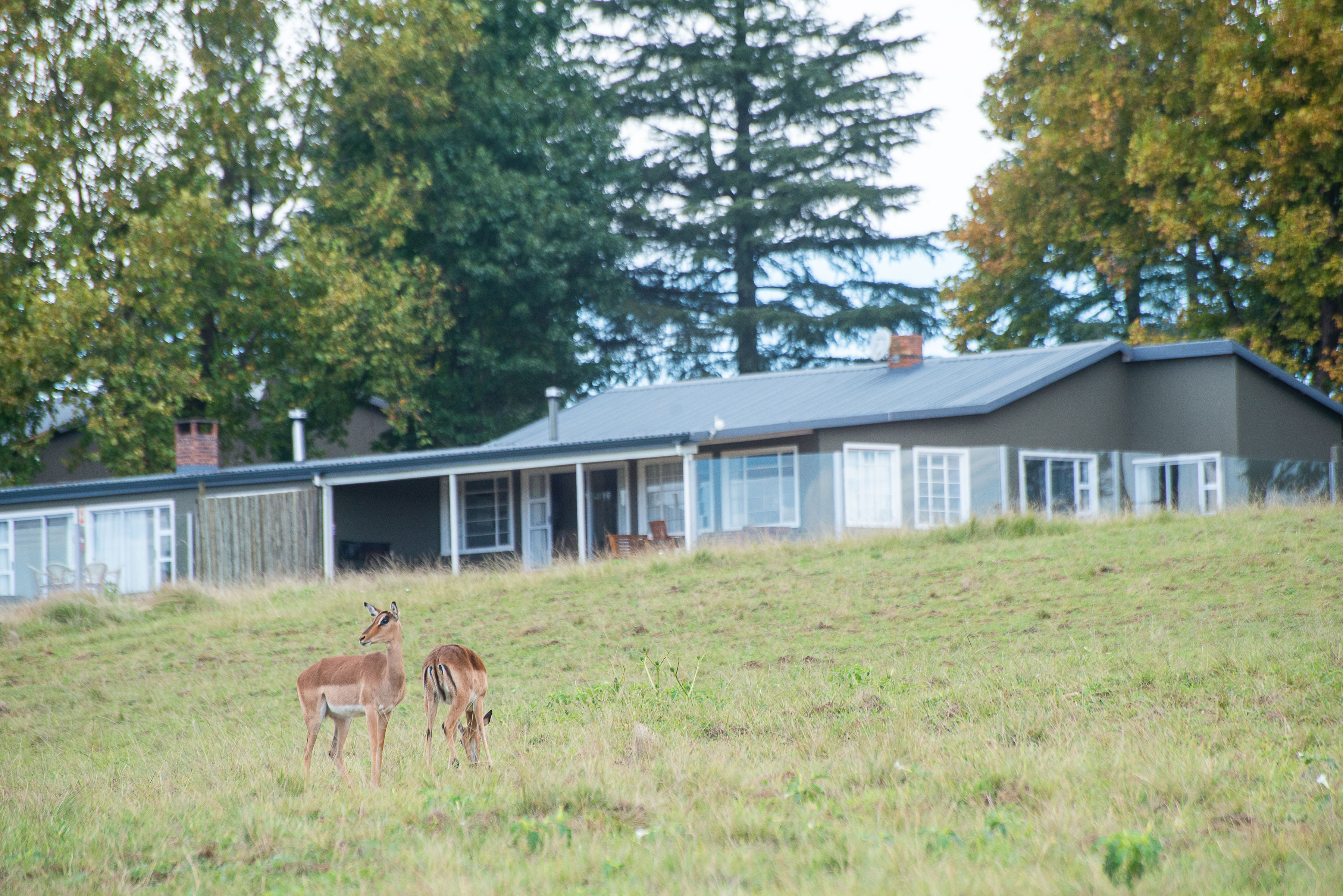Stonehaven Lodge and Conference Center 51/59
