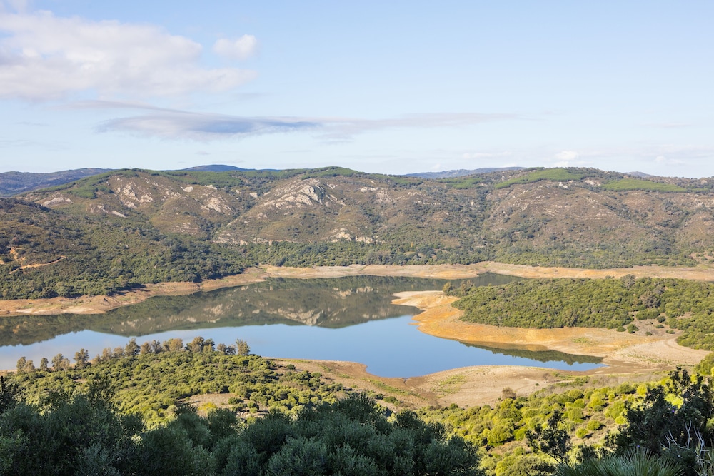 Castillo de Castellar 43/50